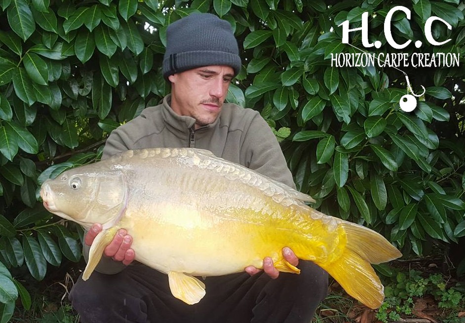 MAXIME POSE - CONSULTANT HCC