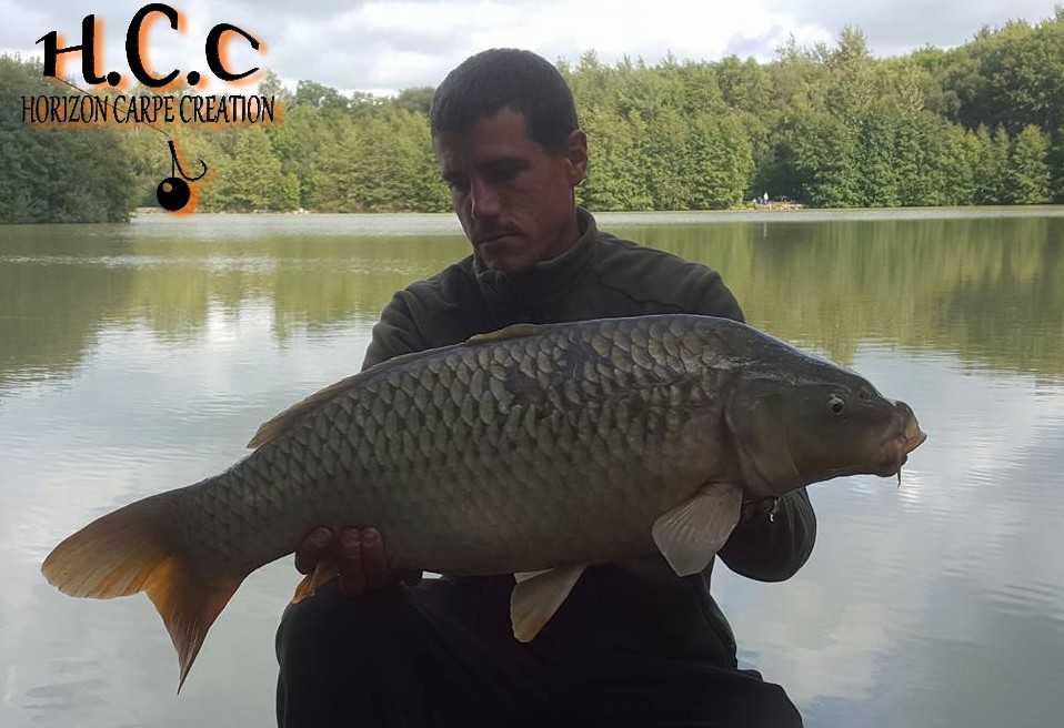 MAXIME POSE - CONSULTANT HCC