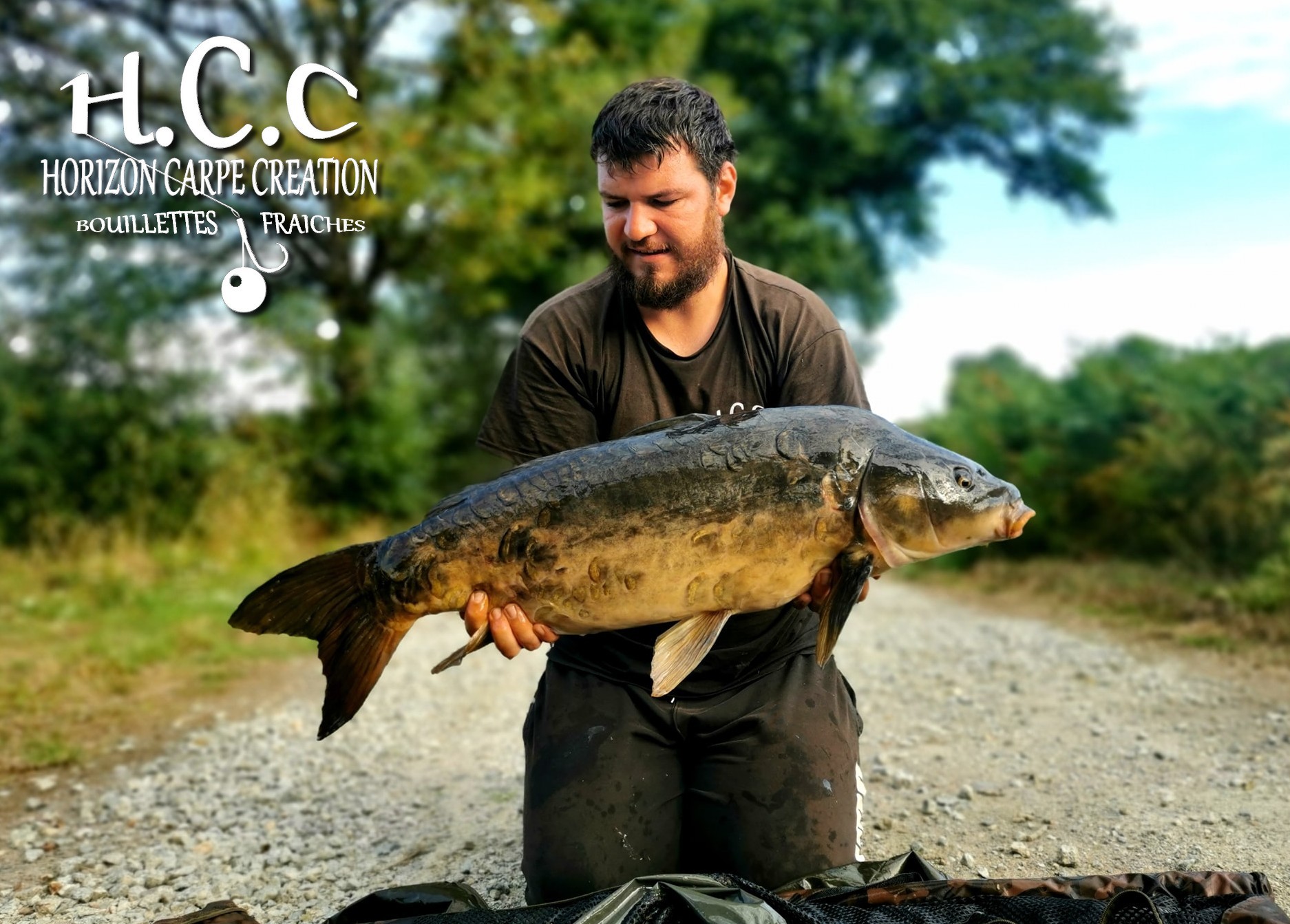 MICKAËL LAURENT - TESTEUR HCC