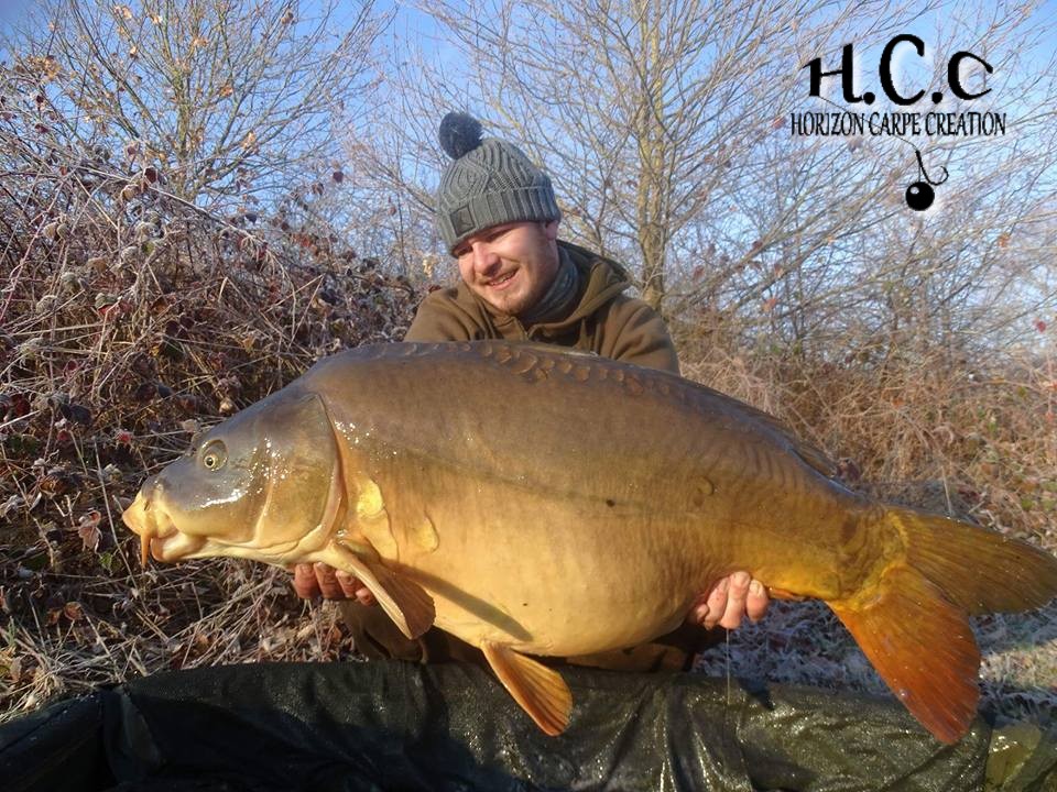 MICKAEL LAURENT - TESTEUR HCC