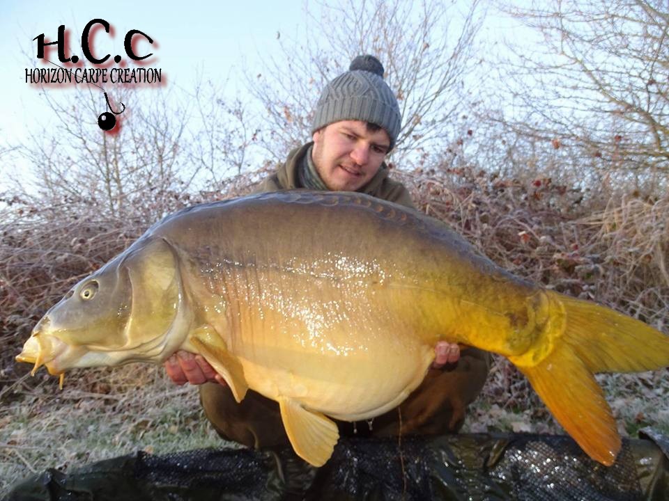 MICKAEL LAURENT - TESTEUR HCC