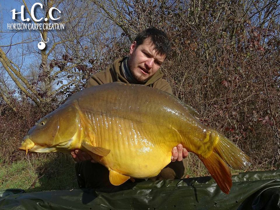 MICKAEL LAURENT - TESTEUR HCC