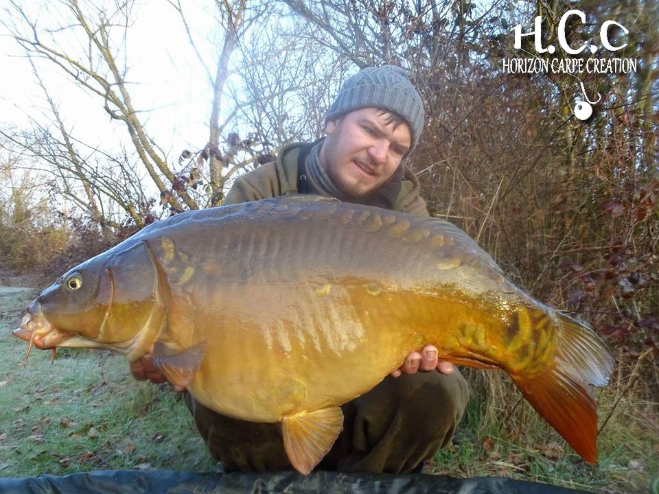 MICKAEL LAURENT - TESTEUR HCC