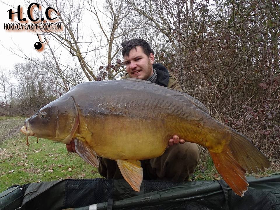 MICKAEL LAURENT - TESTEUR HCC