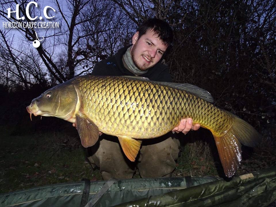 MICKAEL LAURENT - TESTEUR HCC