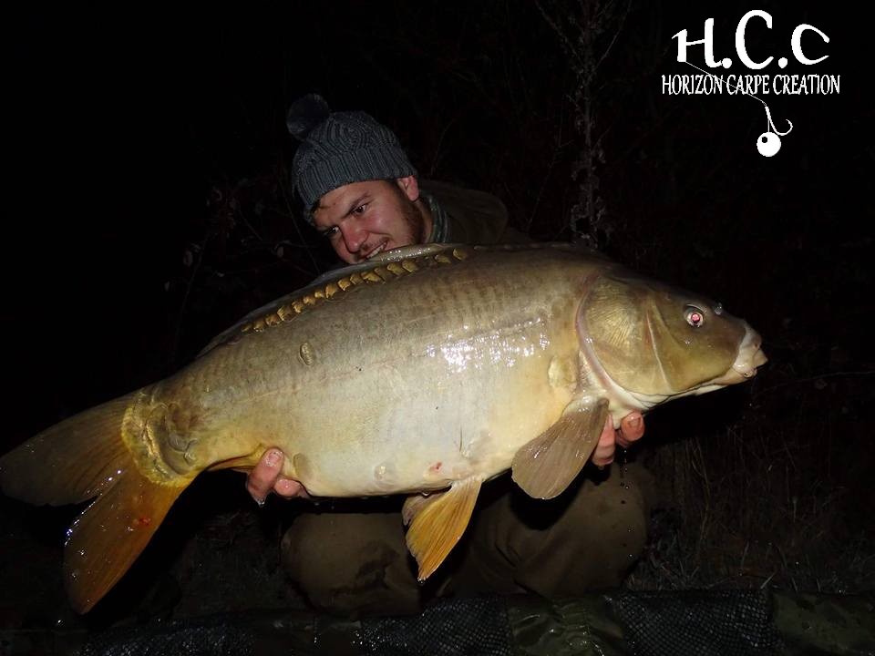 MICKAEL LAURENT - TESTEUR HCC