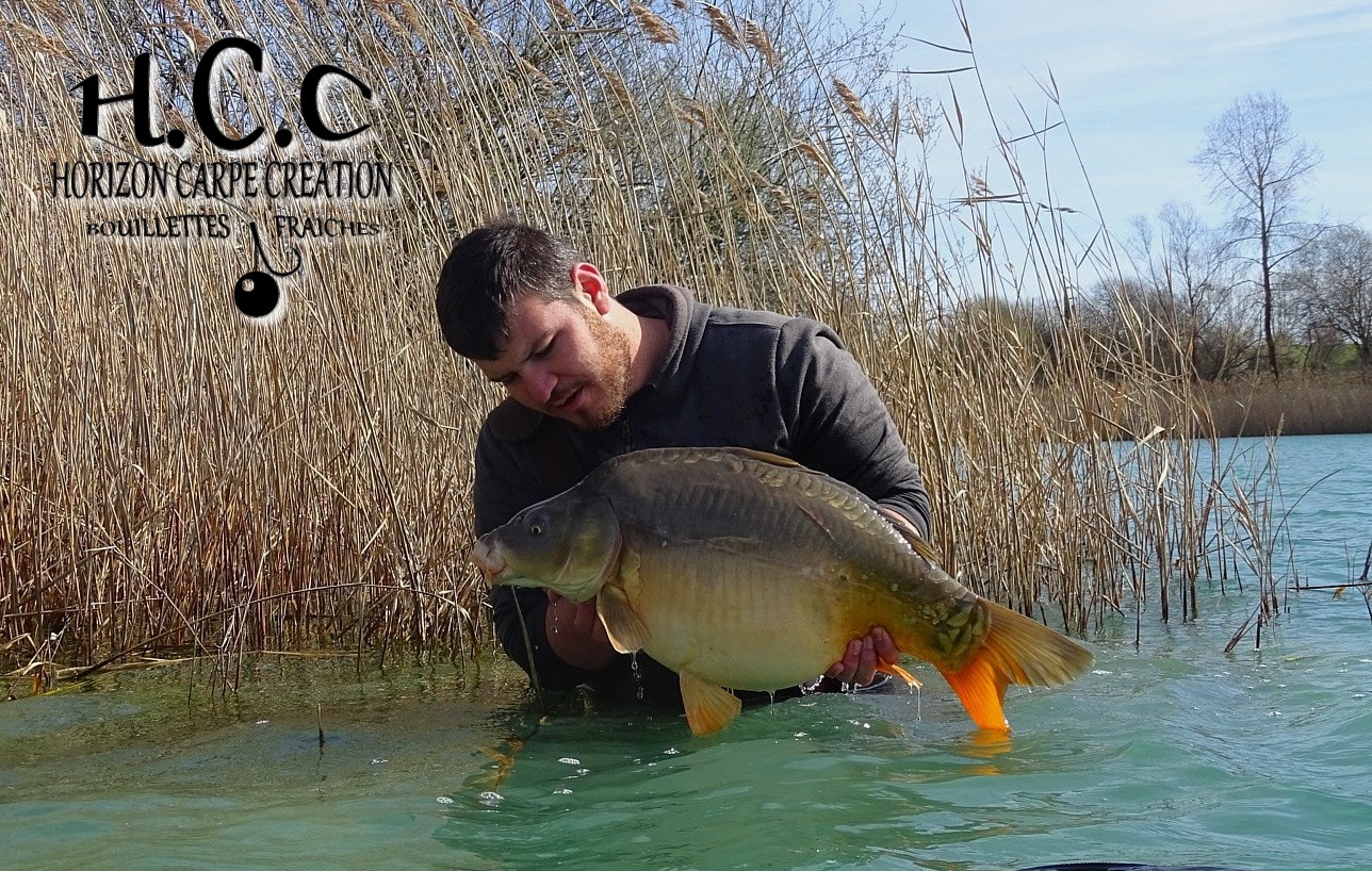 MICKAEL LAURENT - TESTEUR HCC