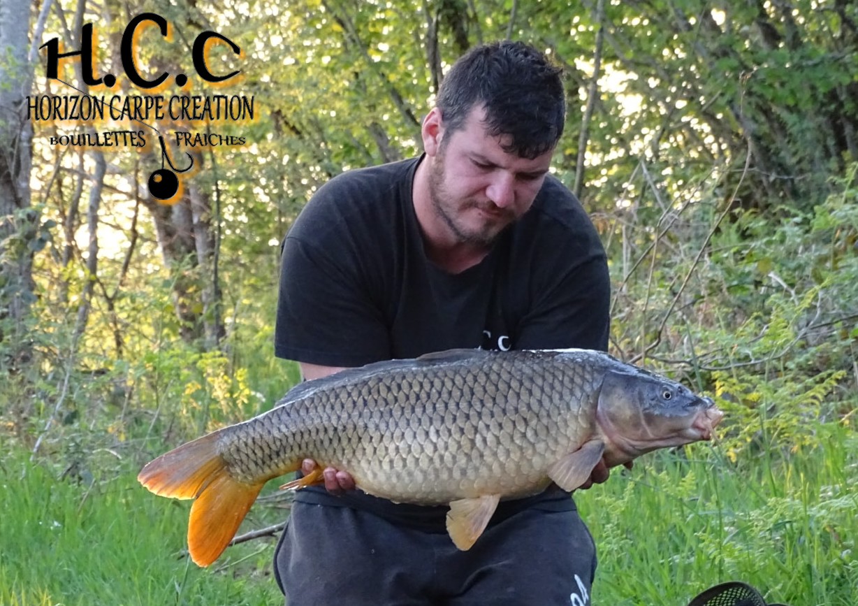MICKAEL LAURENT - TESTEUR HCC