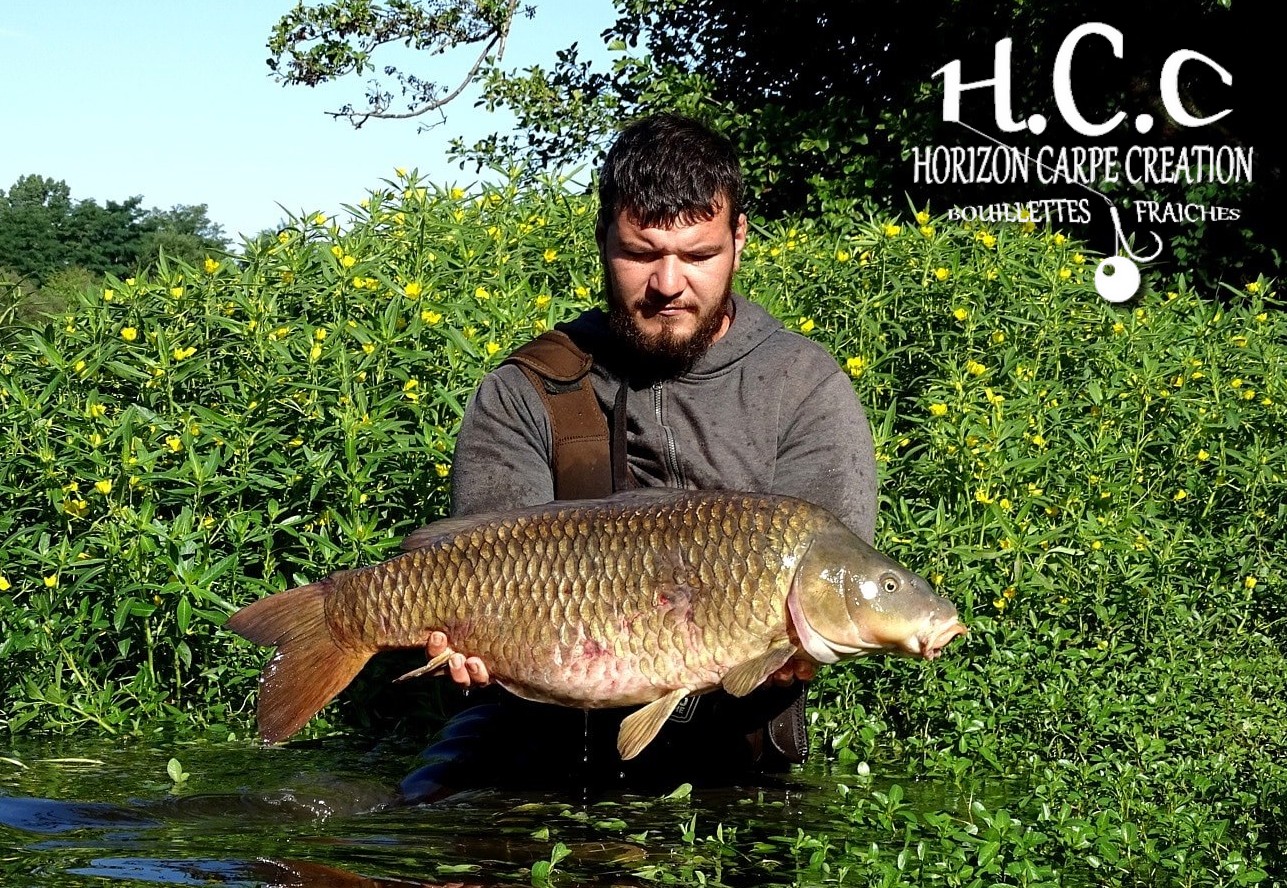 MICKAEL LAURENT - TESTEUR HCC