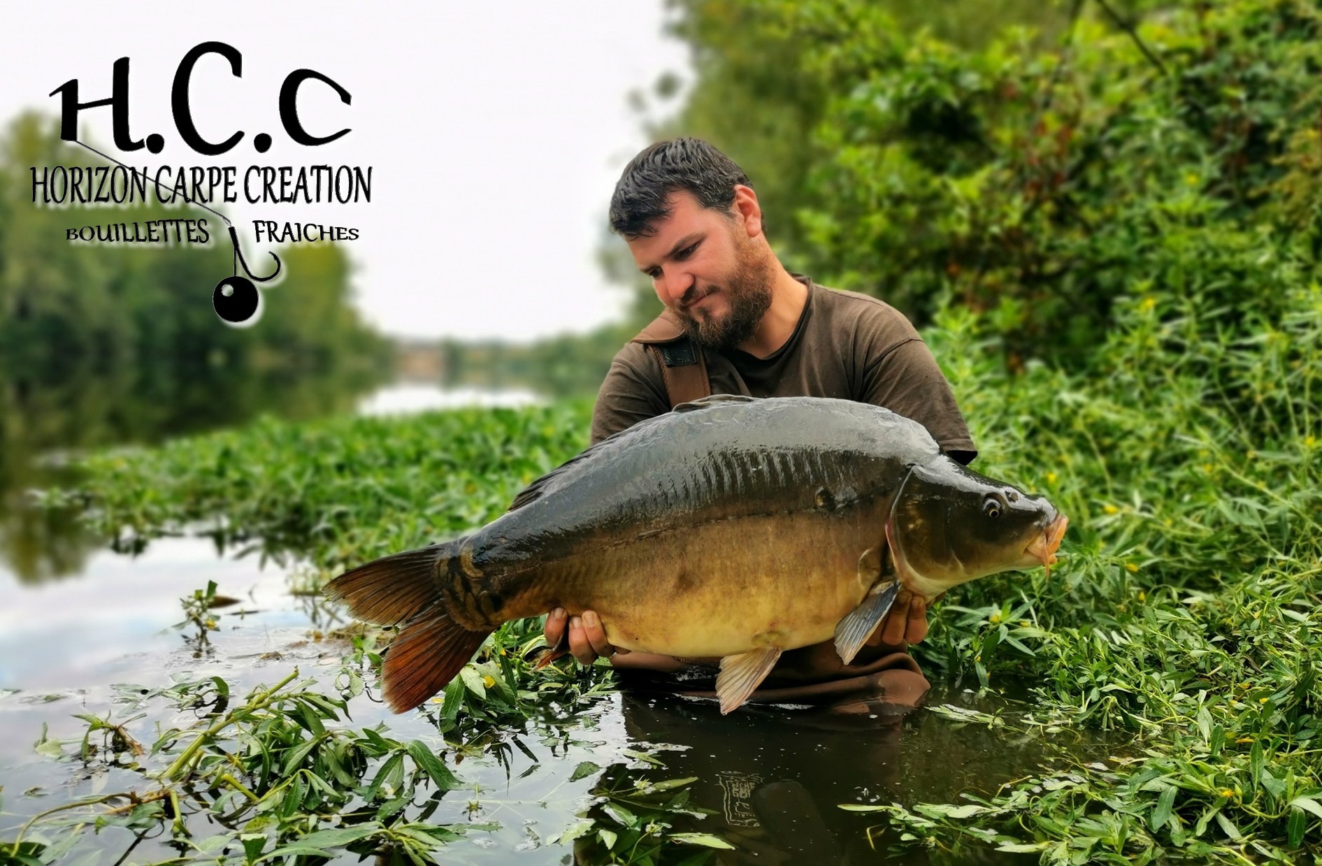 MICKAËL LAURENT - TESTEUR HCC