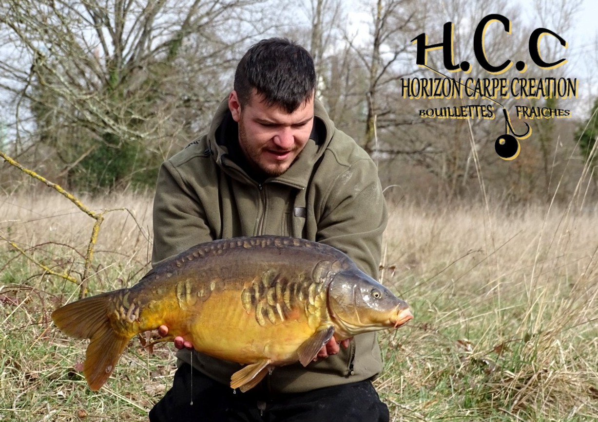 MICKAEL LAURENT - TESTEUR HCC