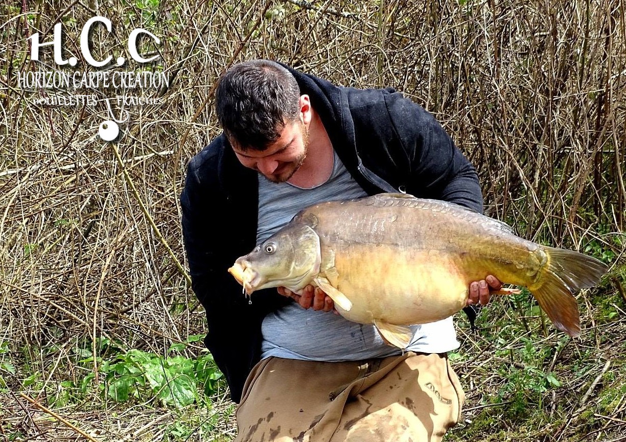 MICKAEL LAURENT - TESTEUR HCC