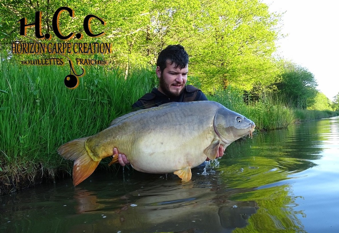 MICKAEL LAURENT - TESTEUR HCC