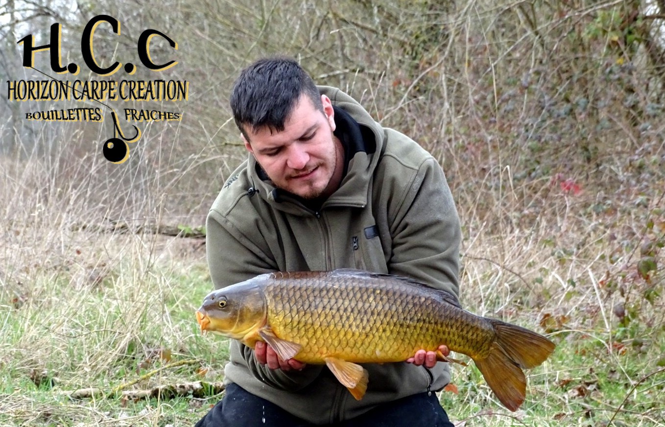 MICKAEL LAURENT - TESTEUR HCC