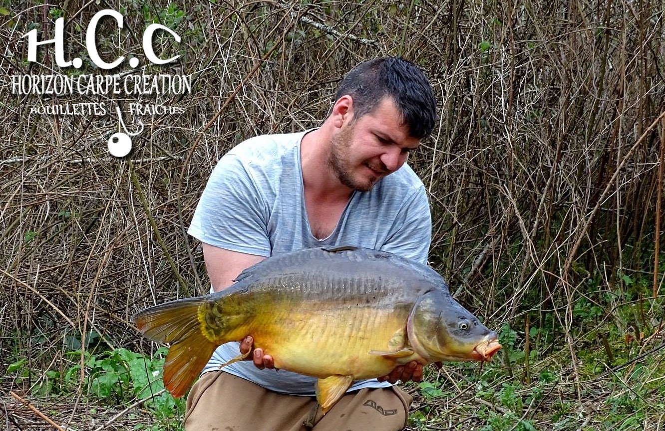 MICKAEL LAURENT - TESTEUR HCC