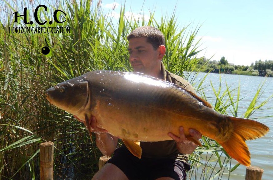 MICKAEL MACON - TESTEUR HCC