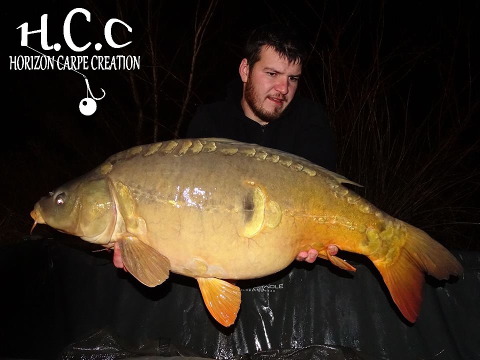 MICKAEL LAURENT - TESTEUR HCC