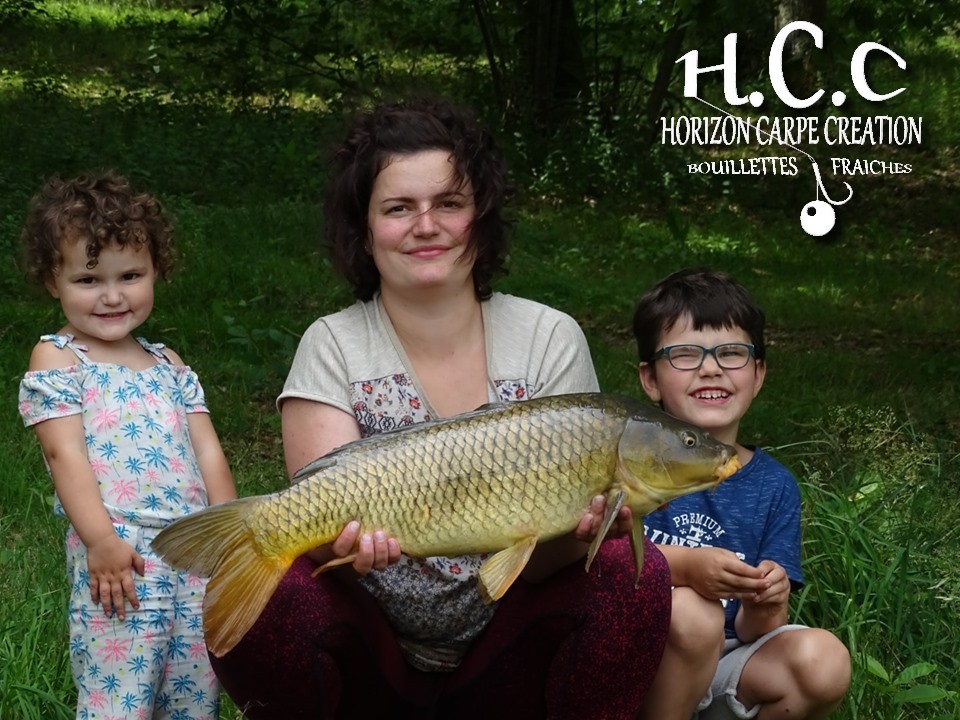 FAMILLE LAURENT - TESTEUR HCC