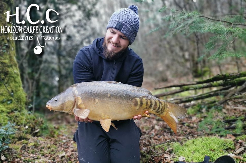 MICKAEL LAURENT - TESTEUR HCC