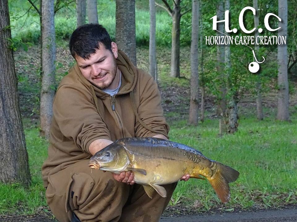 MICKAEL LAURENT - TESTEUR HCC