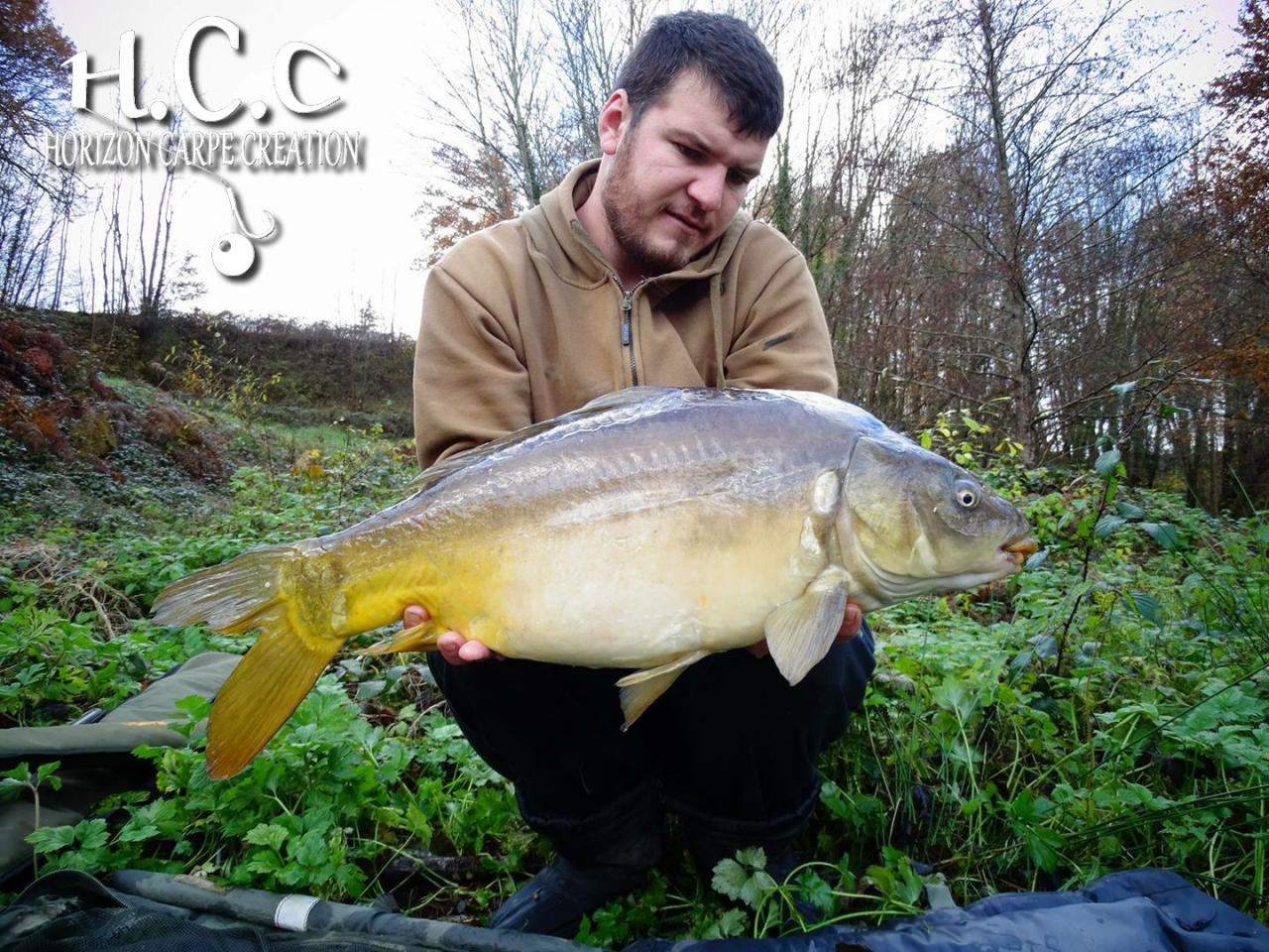 MICKAEL LAURENT - TESTEUR HCC