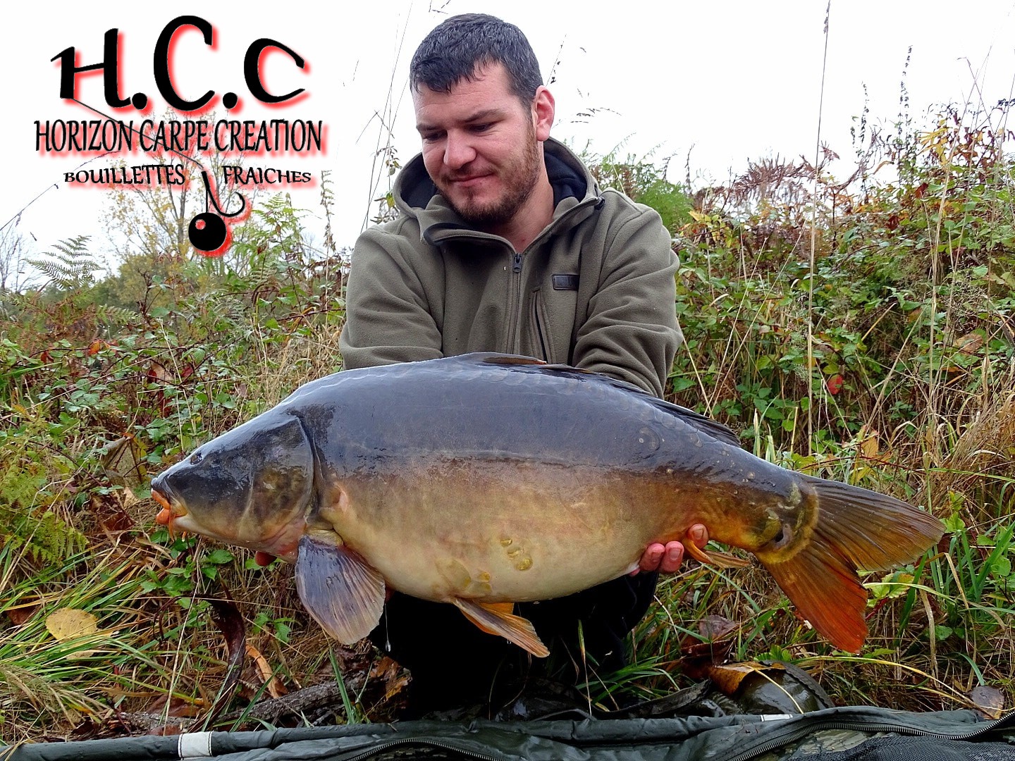 MICKAEL LAURENT - TESTEUR HCC