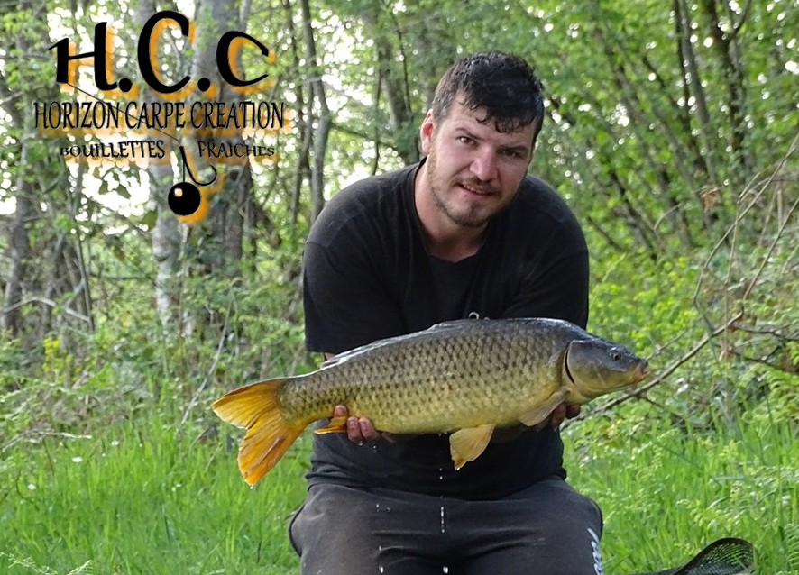 MICKAEL LAURENT - TESTEUR HCC