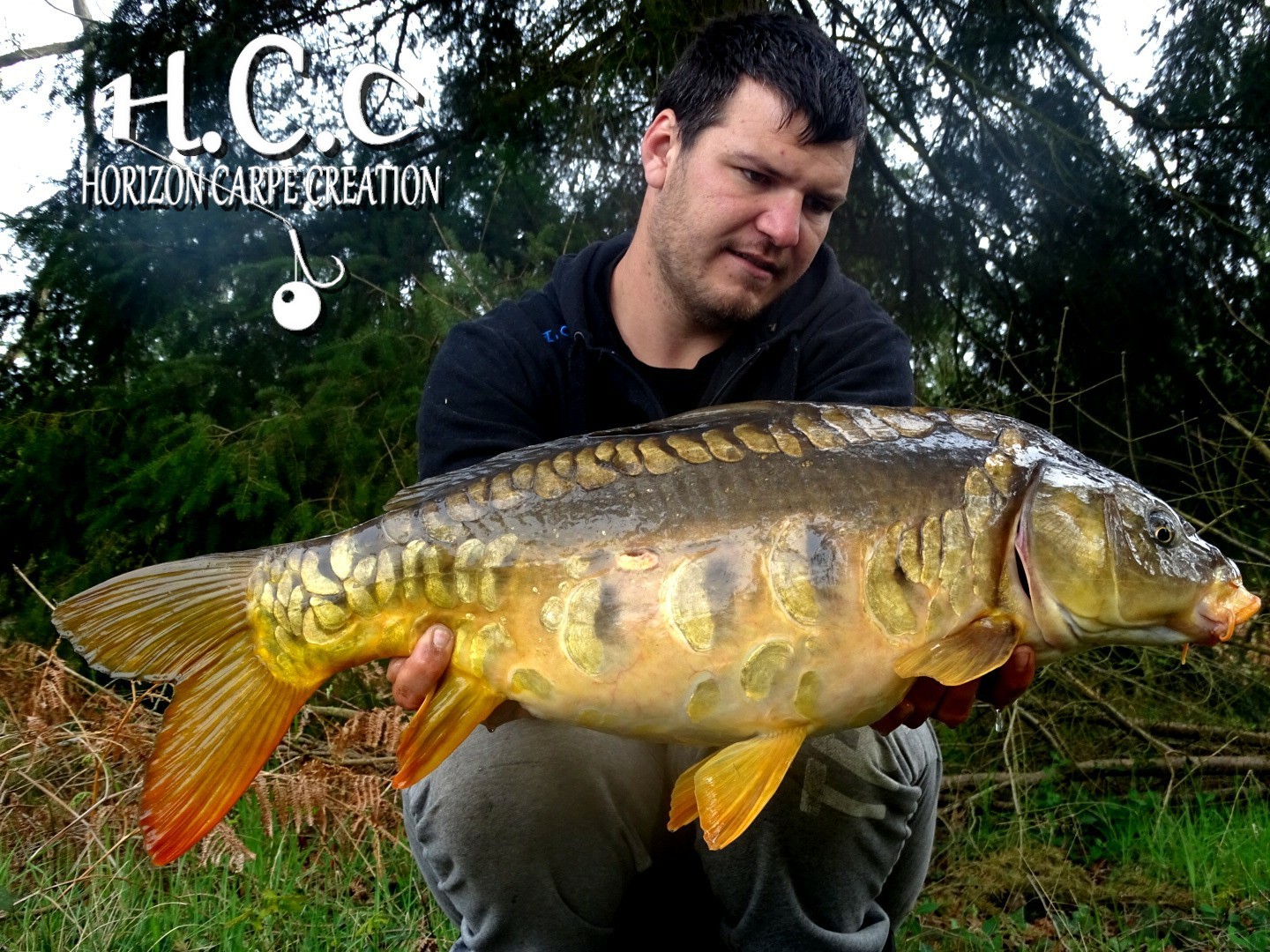 MICKAEL LAURENT - TESTEUR HCC
