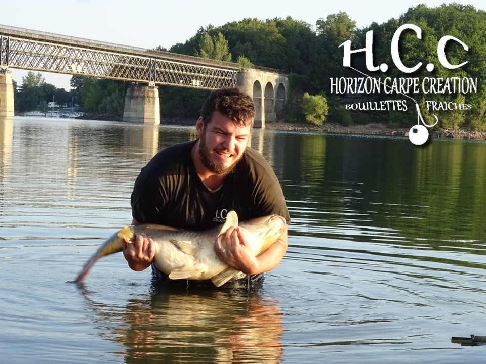 MICKAEL LAURENT - TESTEUR HCC
