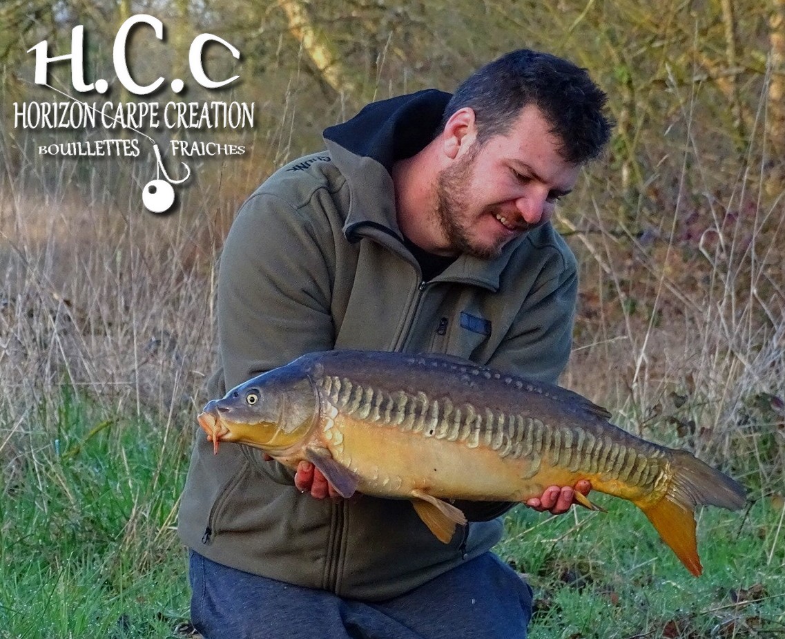 MICKAEL LAURENT - TESTEUR HCC
