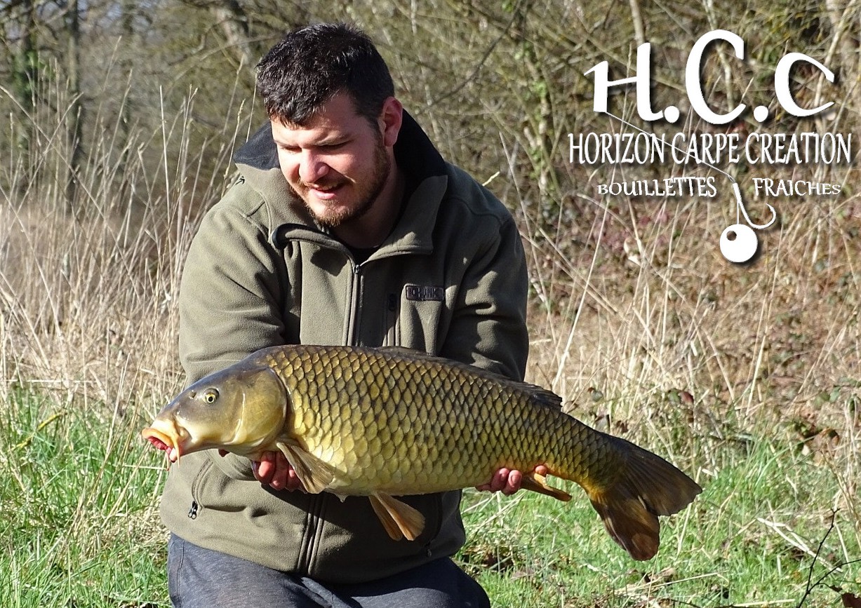 MICKAEL LAURENT - TESTEUR HCC