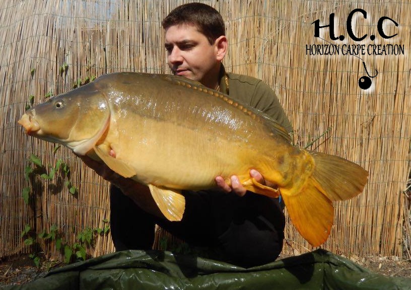 MICKAEL MACON - TESTEUR HCC