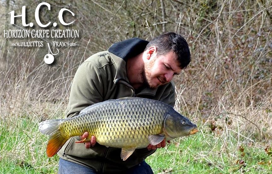 MICKAEL LAURENT - TESTEUR HCC
