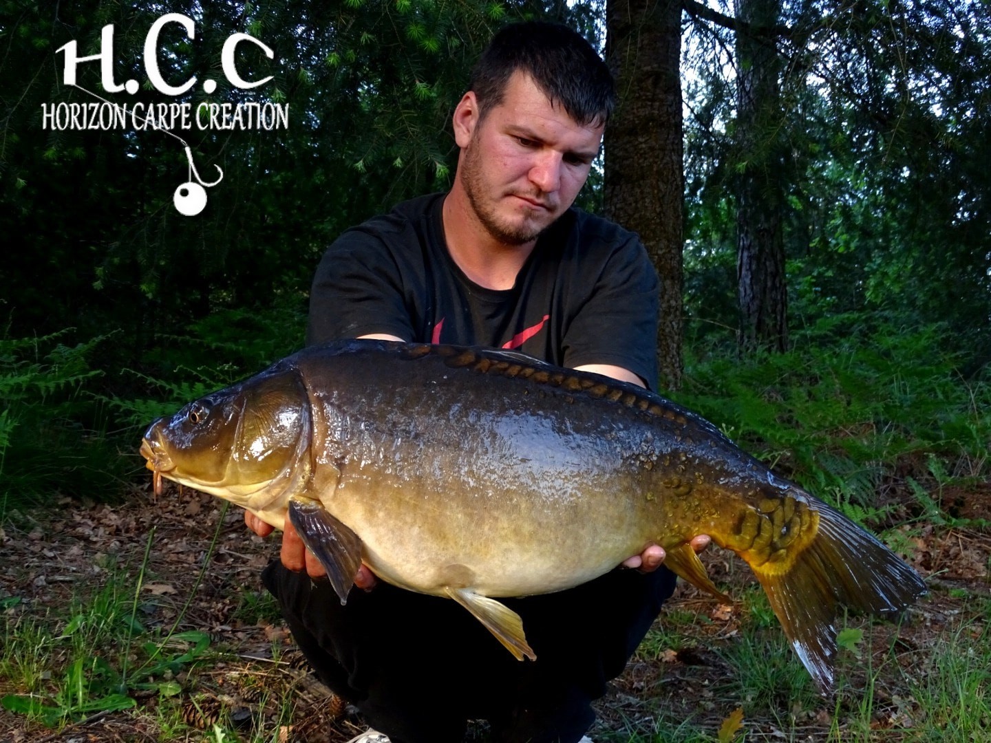 MICKAEL LAURENT - TESTEUR HCC