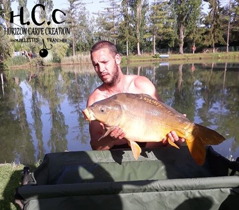 MICKAEL - CLIENT HCC