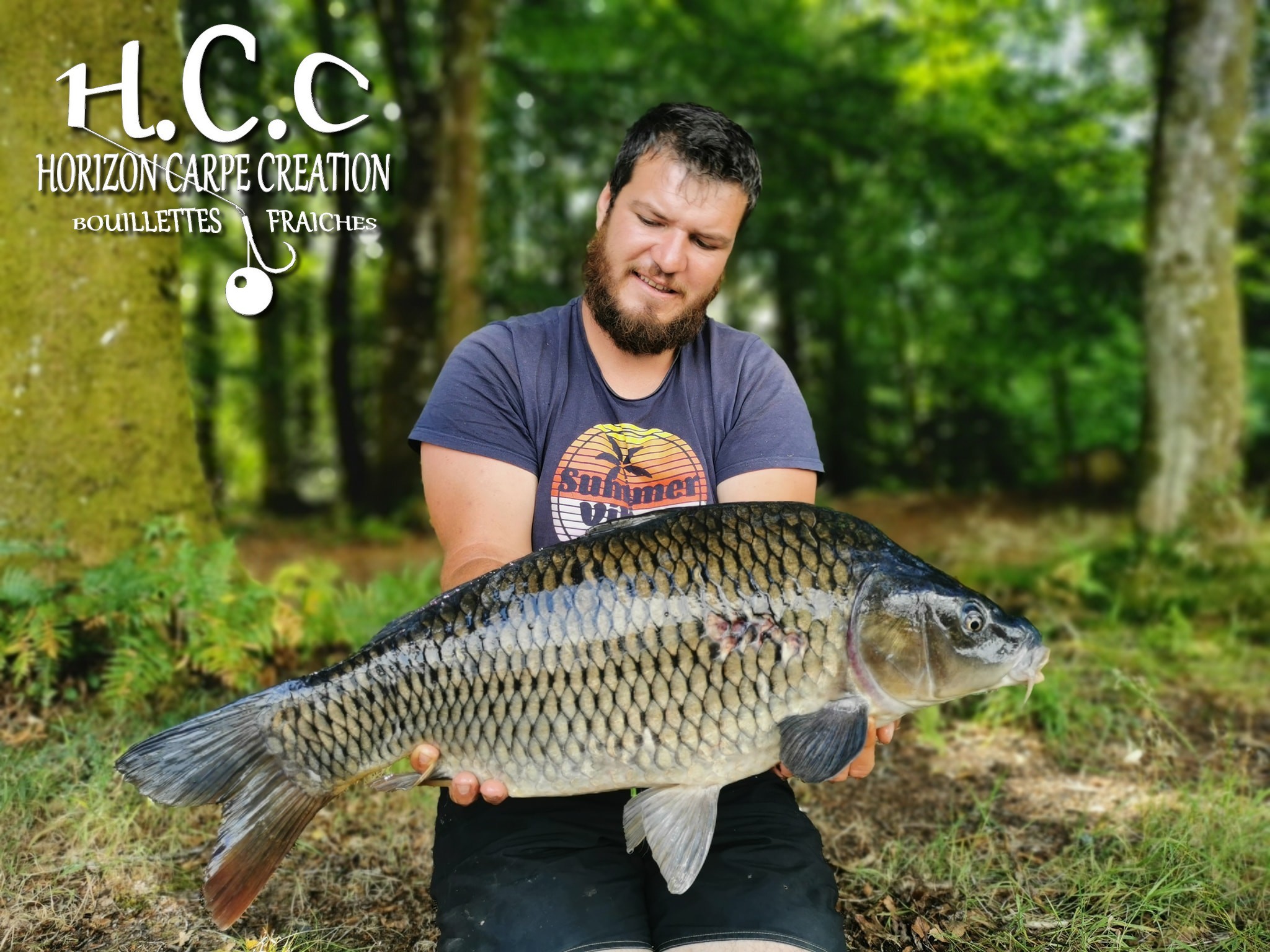 MICKAEL LAURENT - TESTEUR HCC