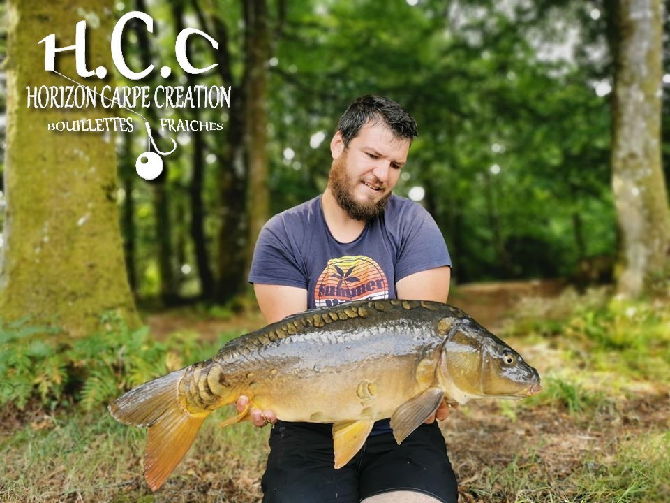 MICKAEL LAURENT - TESTEUR HCC