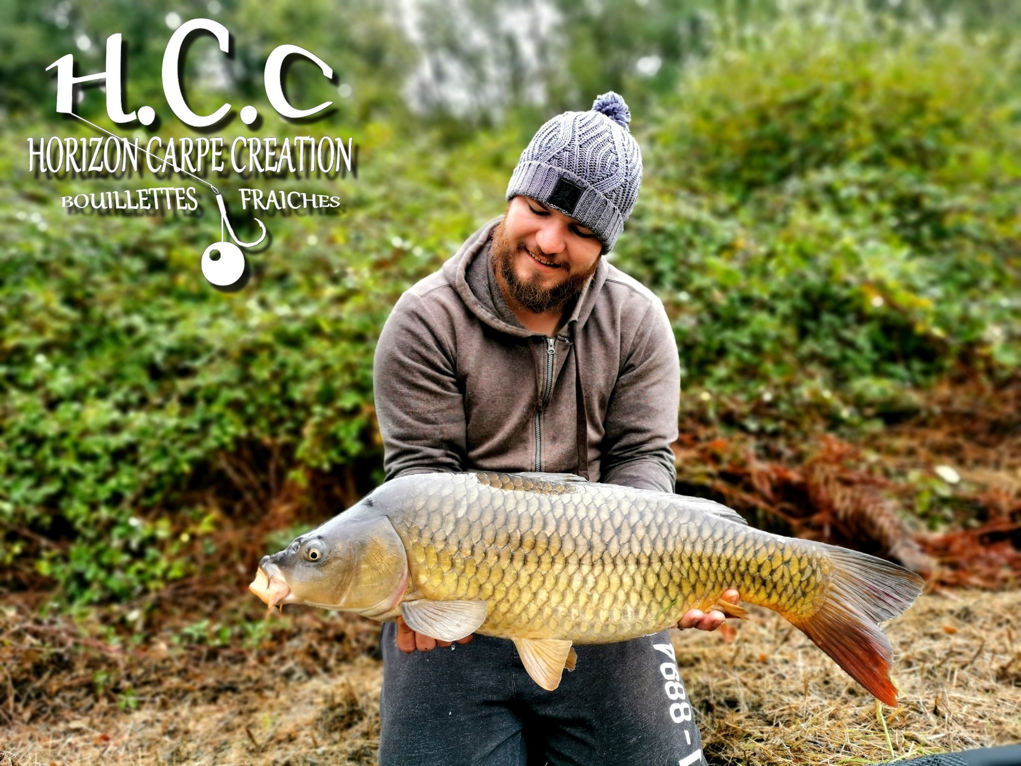 MICKAEL LAURENT - TESTEUR HCC