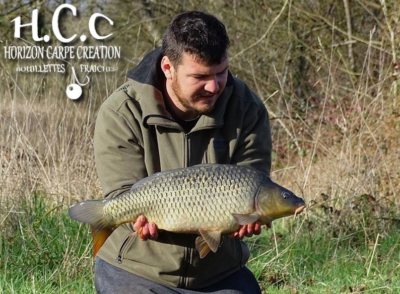 MICKAEL LAURENT - TESTEUR HCC