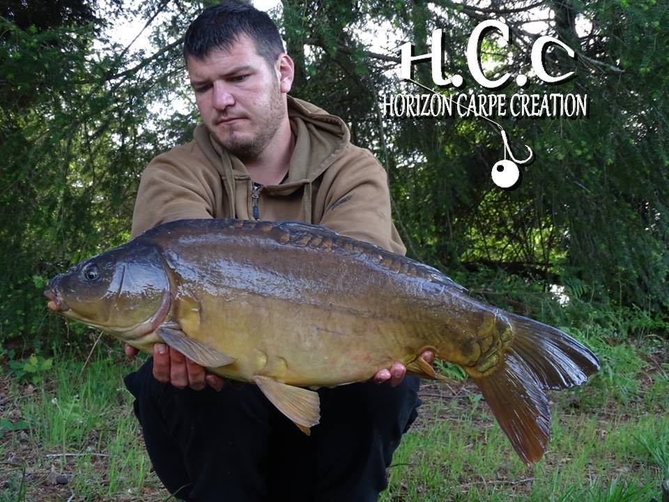 MICKAEL LAURENT - TESTEUR HCC