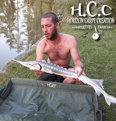 MICKAEL - CLIENT HCC
