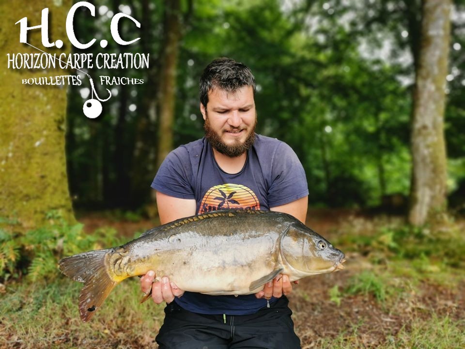MICKAEL LAURENT - TESTEUR HCC