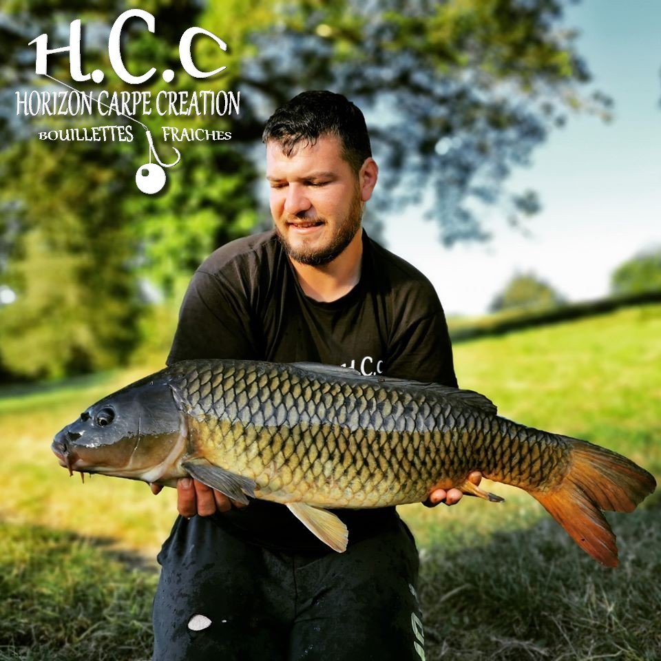 MICKAEL LAURENT - TESTEUR HCC