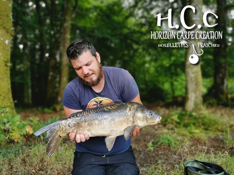 MICKAEL LAURENT - TESTEUR HCC