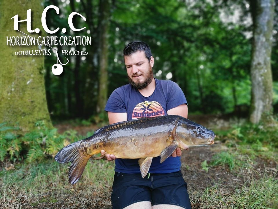 MICKAEL LAURENT - TESTEUR HCC