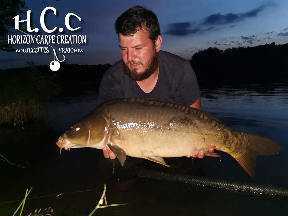 MICKAEL LAURENT - TESTEUR HCC