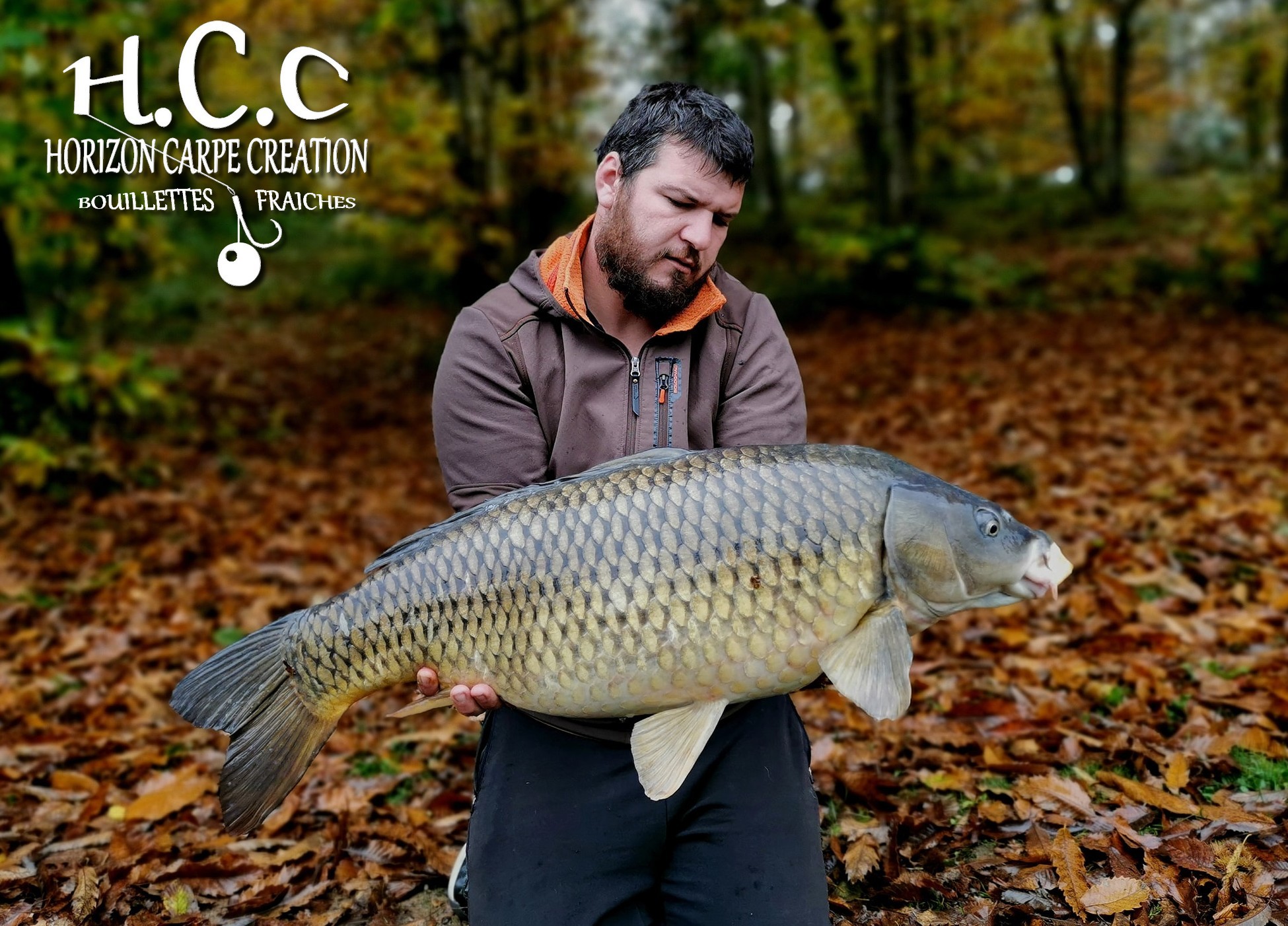 MICKAEL LAURENT - TESTEUR HCC