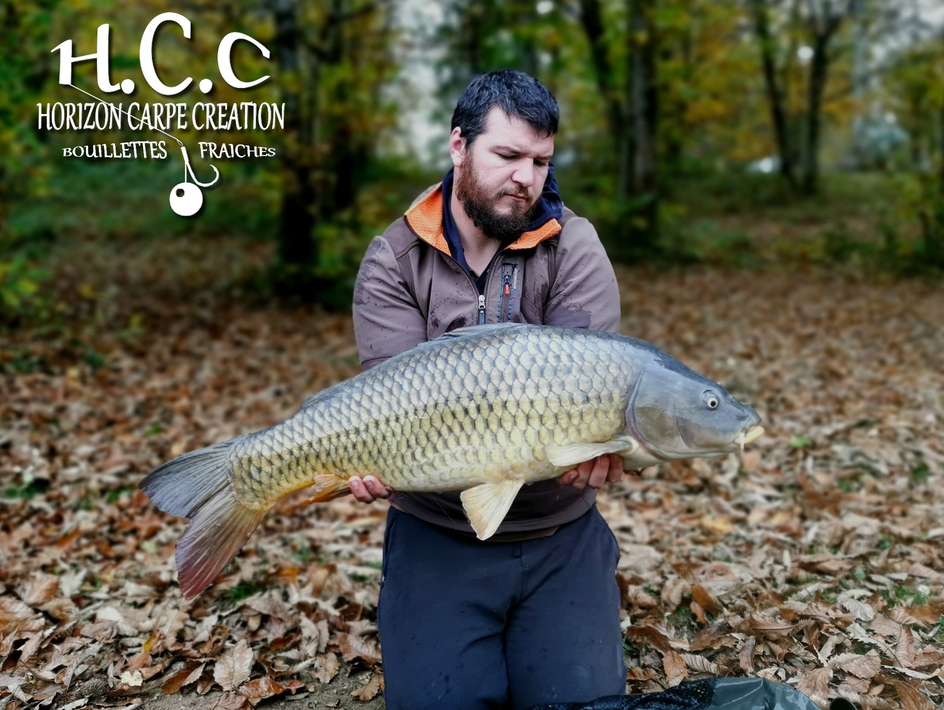 MICKAEL LAURENT - TESTEUR HCC