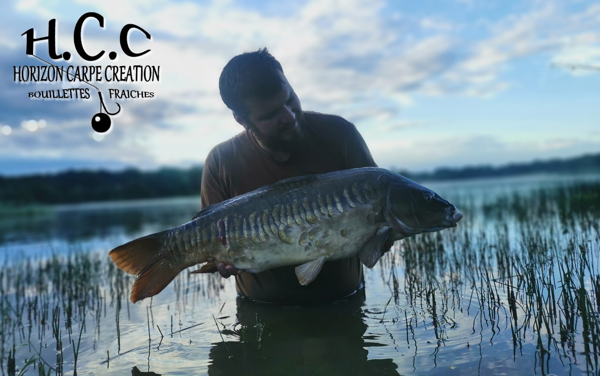MICKAEL LAURENT - TESTEUR HCC