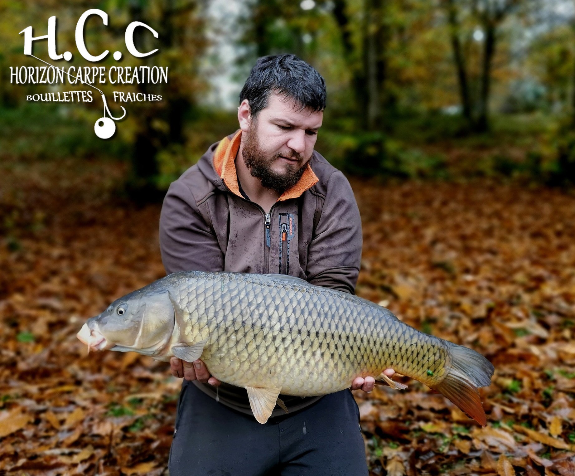 MICKAEL LAURENT - TESTEUR HCC